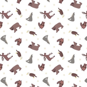 North American Animals
