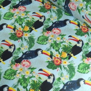 Tropical Toucans