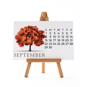 Calendario 2025 Calendario da tavolo con supporto in legno A6/A5 Formato A4 Scrivania da ufficio Diversi tipi di alberi per ogni mese Idee regalo di Natale