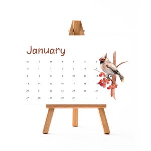 Calendrier 2025, calendrier de bureau avec chevalet en bois, format A6/A5, calendrier de bureau, calendrier de bureau, oiseaux aquarelles, janv. à déc.