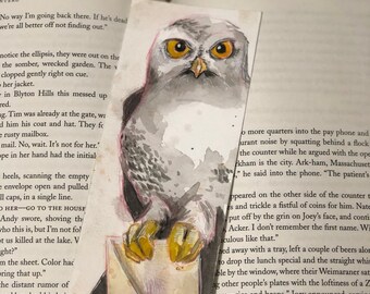 Owl mail