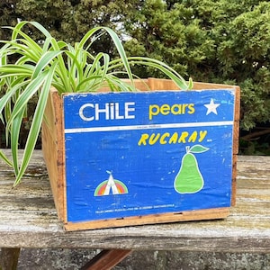 Vintage Wood Fruit Crate Wooden Pear Orchard Box