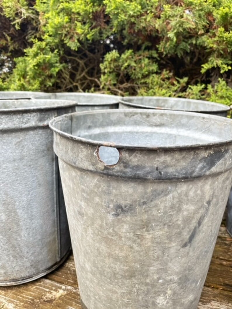 Vintage Sap Bucket Tall Galvanized Metal Maple Sap Pail Etsy