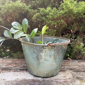 May include: A weathered, tapered metal bucket with a teal and copper-toned patina. The bucket features a rusted iron handle attached to the rim and contains a green leafy plant with several stems extending over the side of the container.