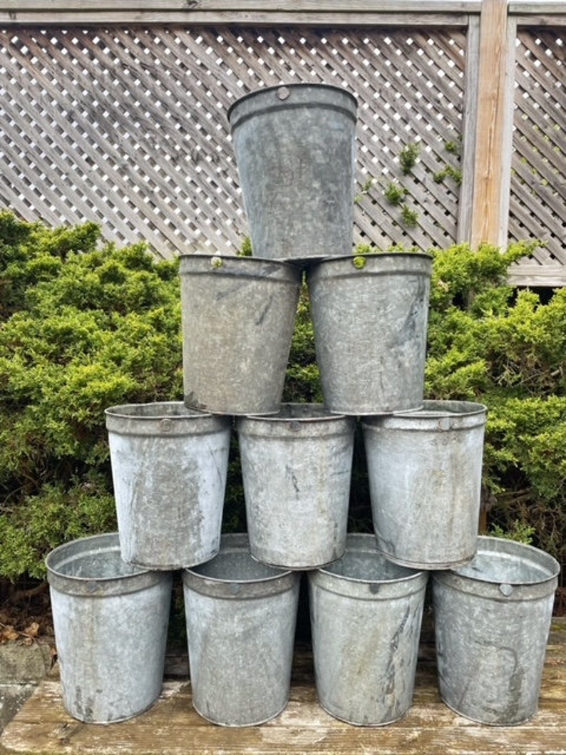 Vintage Sap Bucket Tall Galvanized Metal Maple Sap Pail Etsy