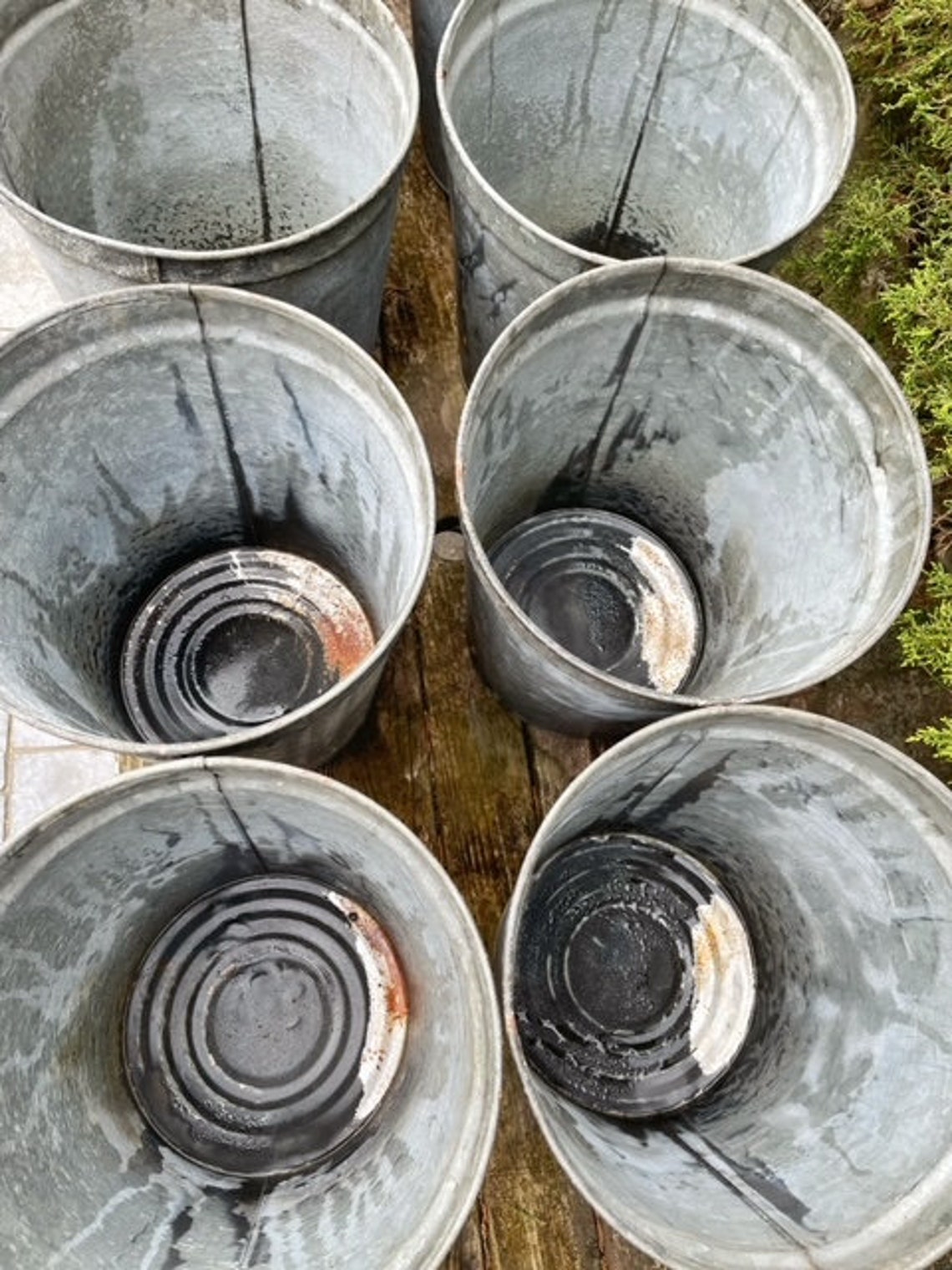 Vintage Sap Bucket Tall Galvanized Metal Maple Sap Pail Etsy