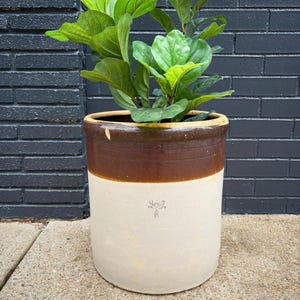 May include: A large, two-toned ceramic planter with a brown top and a cream-colored base. The planter holds a lush green plant with large, vibrant leaves. The planter has a simple, rustic design, suitable for indoor or outdoor use.