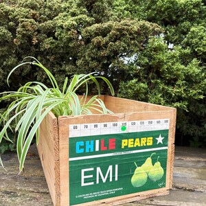 Primitive Wooden Fruit Box Pear Crate Vintage Old Advertising
