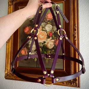 The Lupine Bralette Harness