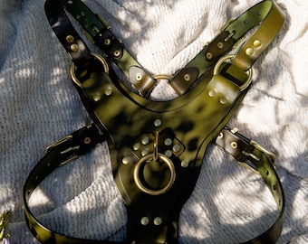 The Puppy Training Harness