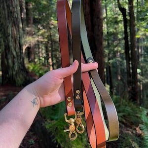 The Lupine Lead