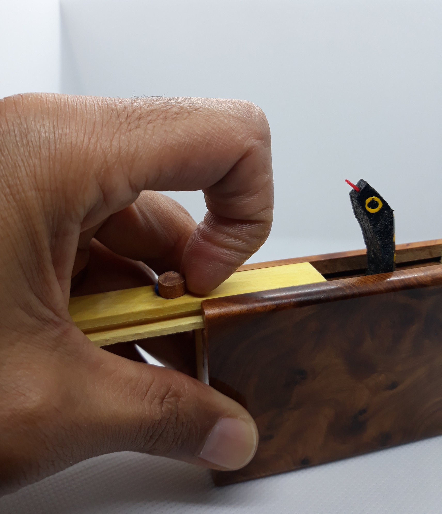 Snake box surprise box in thuya precious wood. Etsy