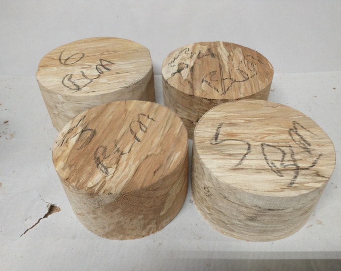 Spalted Big Leaf Maple Wood Turning Bowl Blanks Etsy