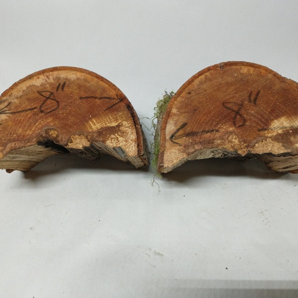 Wood Bowl Blanks Etsy