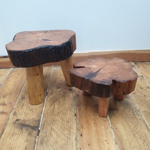Rustic Log-Ring Stool / End Table / Plant Stand