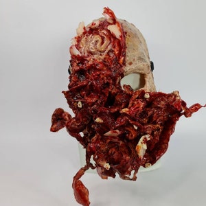 Máscara de Halloween de zombi, máscara de sangre extrema, máscara realista de Halloween, máscara de cerebro expuesto, máscara de Halloween 2025, máscara de terror realista