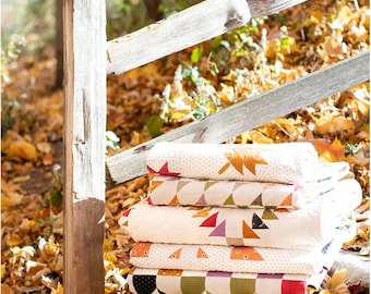 Pumpkin Spice Gatherings *9 Quilt Designs + 6 Projects & Hand Stitchery Projects* From: Primitive Gatherings