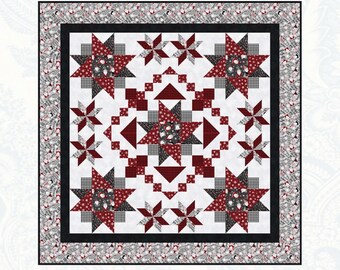 Bold Burst * Quilt Pattern * By: Mimi Hollenbaugh & Pat Syta of Bound to be Quilting  BTBQ352