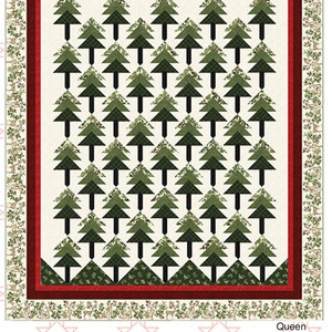 Winter Pines * Quilt Pattern *  By: Jackie Robinson of Animas Quilts  AQP-296