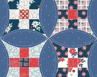 Wide Back "Sweed Freedom - Denim"  *3 Yard Cut*  By: Beverly McCullough for Riley Blake Designs WB14038