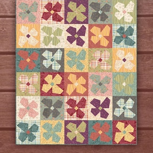 Crazy Blooms *Crazy Piecing and Pieced Quilt Pattern*   By: Janet Rae Nesbitt - One Sister  #19