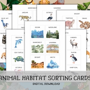 Op de afbeelding: Dierlijke habitat sorteerkaarten met aquarel illustraties van dieren en hun leefomgevingen. Bevat kaarten voor regenwoud, savanne, woestijn en arctische habitats. De tekst "ANIMAL HABITAT SORTING CARDS" wordt weergegeven.