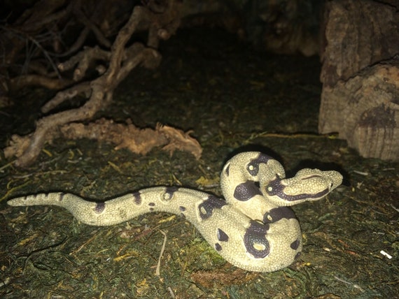 schleich boa constrictor