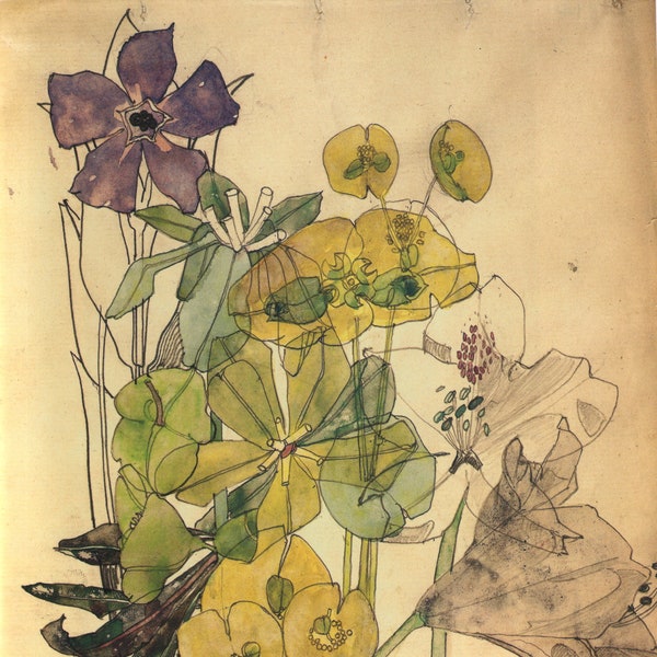 Spurge With Yham 1909 Flowers By Charles Rennie Mackintosh Print Poster