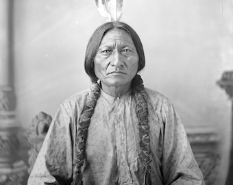 Native American Indian CHIEF GALL Glossy 8x10 Photo Lakota Sioux Print Poster 