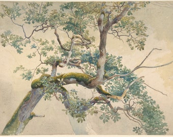 Tree Branches 1852–1908 Charles Reginald Aston Print Poster