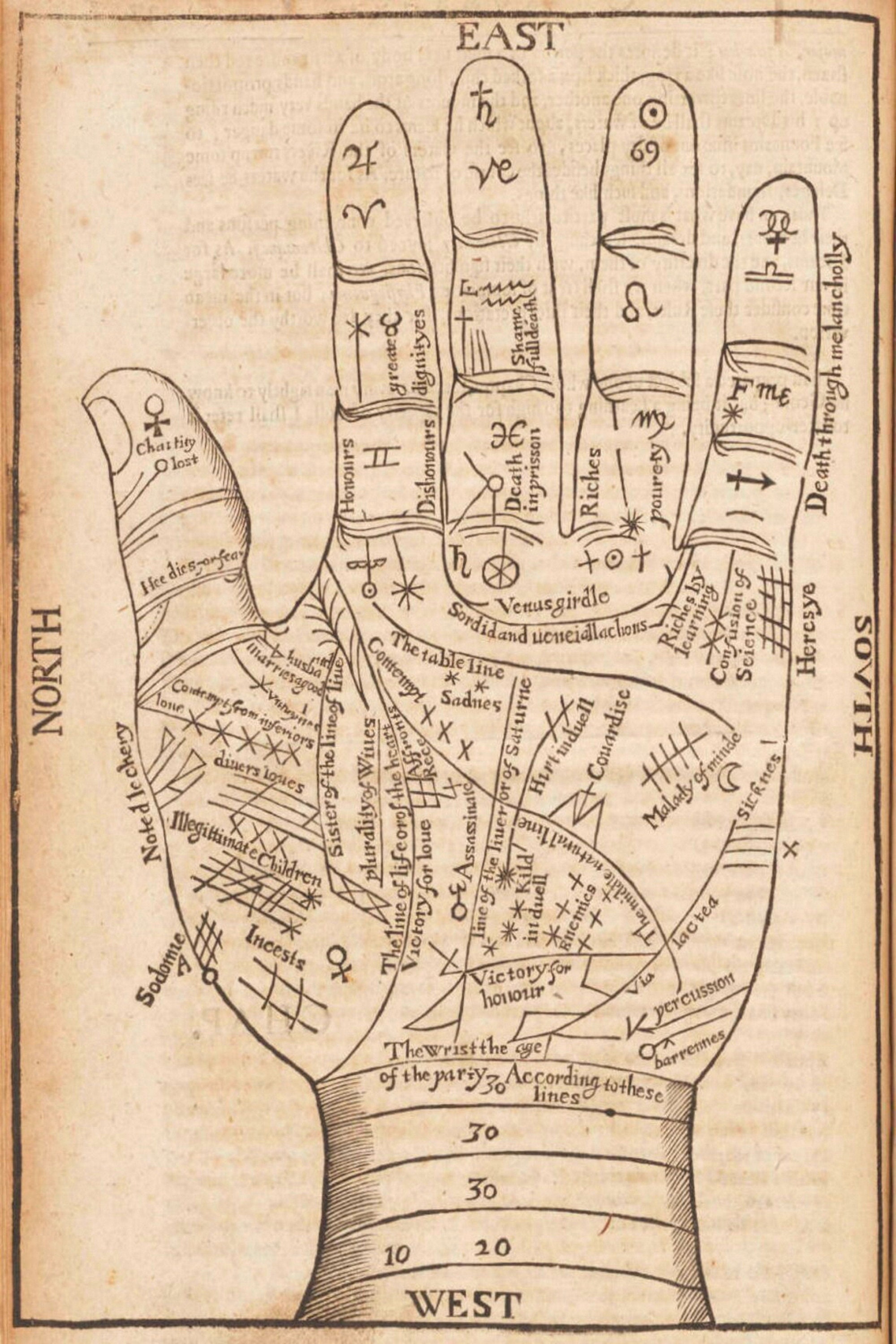 Richard Saunders - Palmistry/Chiromancy Chart 1653 Print Poster