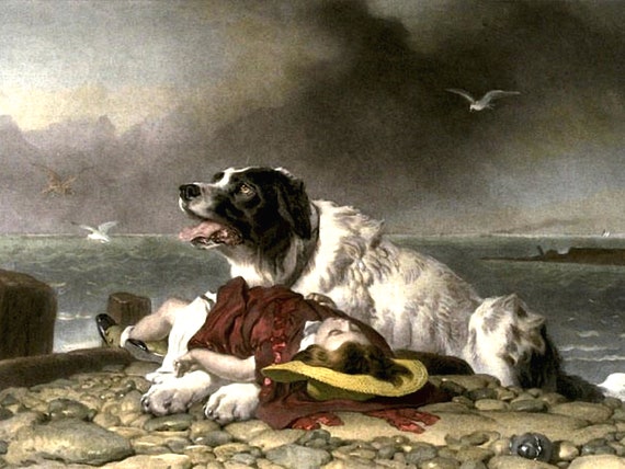 ビンテージ犬と金魚のアート アートアクアリウム2019」東京・熊本で