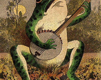 A Frog Playing Banjo In The Moonlight Print Poster