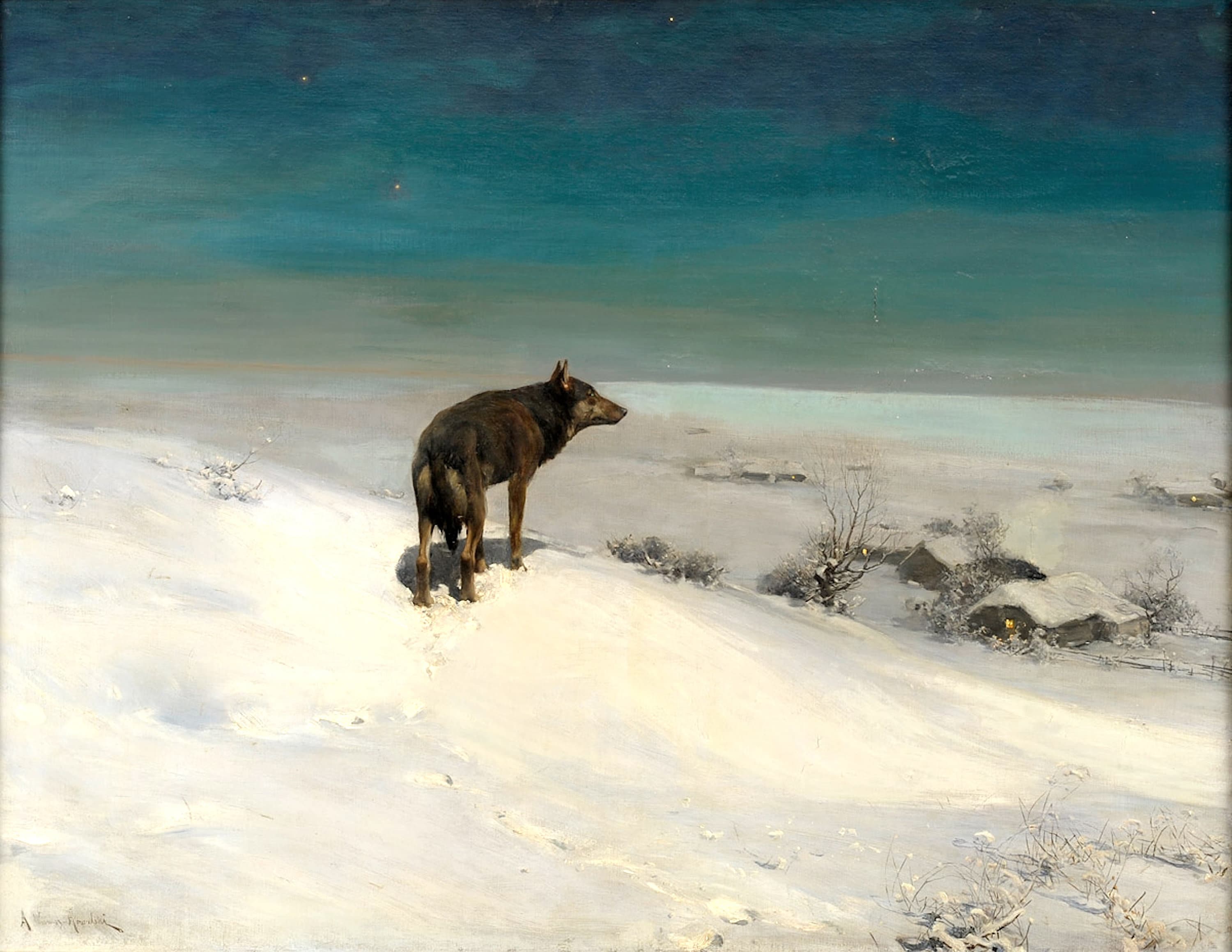 Lone Wolf on A Snowy Hill Looking Over Village at Night by