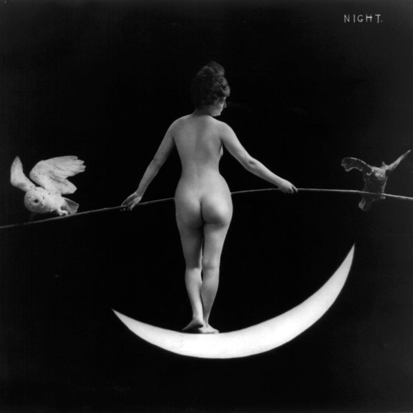 Night - Nude Woman On Crescent Moon White Dove Print Poster