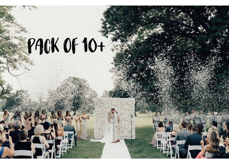 Wedding Confetti Cannon Biodegradable Bulk Water Soluble Etsy