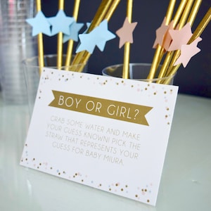 Gender Reveal Straw Sign