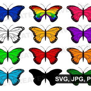 Rainbow Glitter Butterfly PNG Graphic Digital Download Files 