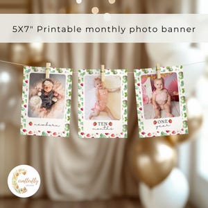 Berry First Monthly Photo Banner, Strawberry birthday banner, monthly baby pictures, birthday bunting, BF1