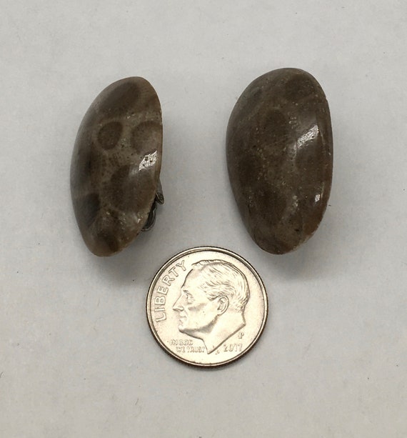 Vintage Petoskey Stone Clip Earrings - image 2