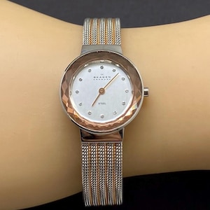 Skagen Watch Two-tone Stainless Steel Mesh Bracelet Women display picture 1