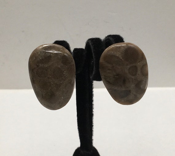 Vintage Petoskey Stone Clip Earrings - image 1