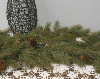 Norfolk Pine Cones Etsy
