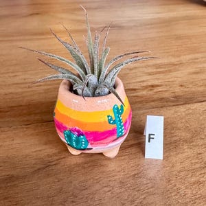 May include: A small, hand-painted ceramic pot with a desert theme, featuring a vibrant gradient of orange, yellow, and pink. The pot is adorned with turquoise cactus illustrations and holds a small air plant. The letter "F" is on a white label.