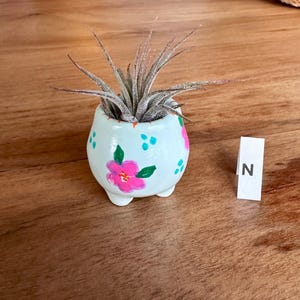 May include: A small, hand-painted ceramic planter in a light blue hue, adorned with pink floral designs and teal accents. The planter holds an air plant with spiky, gray-green leaves. A white wooden block with the letter "N" is next to the planter.