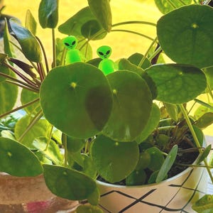 May include: A Pilea peperomioides plant in a white and black patterned pot, with two small green alien figurines nestled among the leaves. The plant has large, round, green leaves.