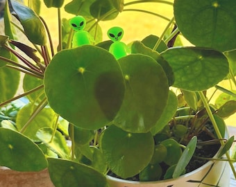 Glow-in-the-Dark Alien Plant Stick Set: Quirky Houseplant Decor