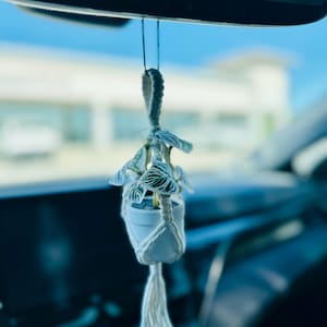 May include: A small white ceramic pot with a green and white plant hangs from a macrame plant hanger. The plant is suspended from a car's rearview mirror, with a blurred background of a building and blue sky.