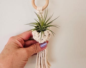 Handmade Macrame Air Plant Holder | Boho Cotton Wall Decor (Approx. 8 inches)