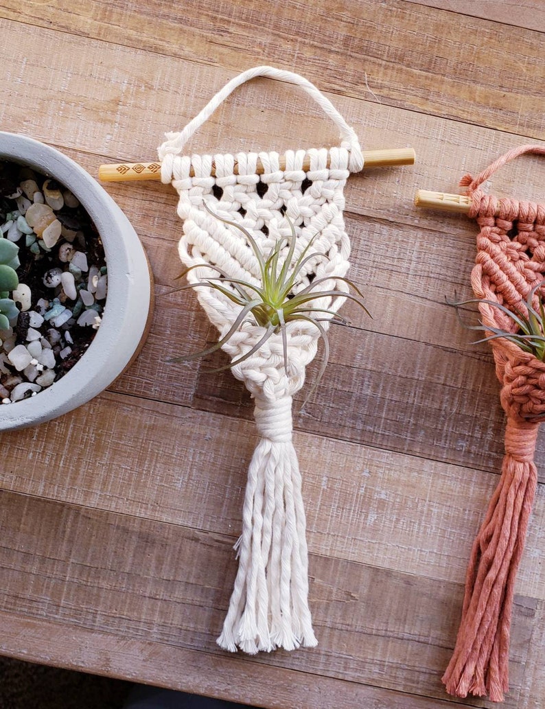 Macrame Air Plant Hanger w/ Artificial Air Plant Mini Boho